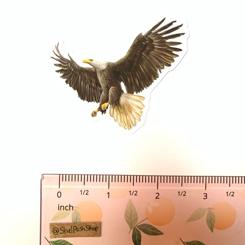 Eagle Vinyl Sticker - Picture 2 of 2